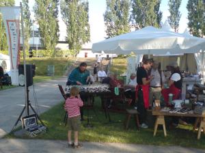 Sommerfest mit Glasharfe